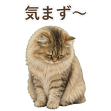 852718552