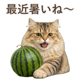 852718558
