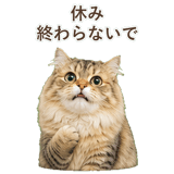 852718569