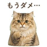 852718572