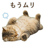 852718574