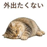 852718575
