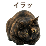 852718578