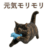852718580
