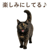 852718583