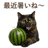 852718598