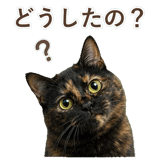 852718606