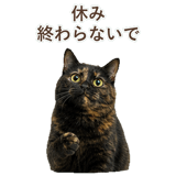 852718609