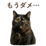 852718612