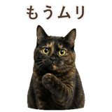852718614