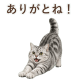 852718657