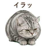 852718658
