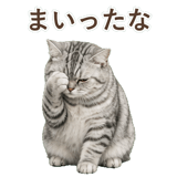 852718659