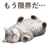852718661