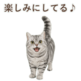 852718663