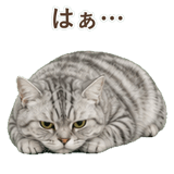 852718666