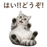 852718669