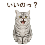 852718671