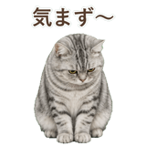 852718672