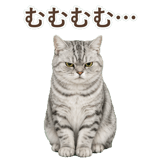 852718674