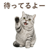 852718675