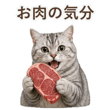 852718677