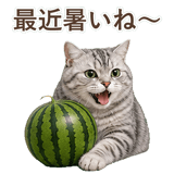 852718678
