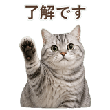 852718683