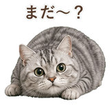 852718684