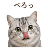 852718685