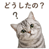 852718686