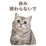 852718689