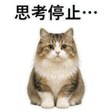 852718698