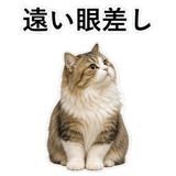 852718700