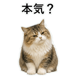 852718705