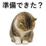 852718708