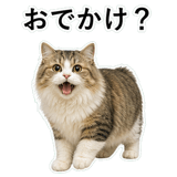 852718709