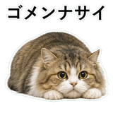 852718710