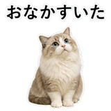 852718719