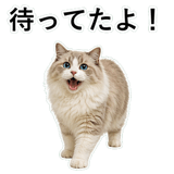 852718720