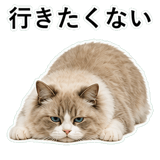 852718722