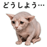 852718759