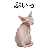 852718760