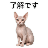 852718762