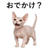 852718765