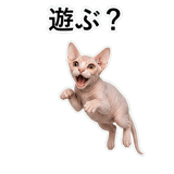 852718785