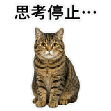 852718794