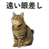 852718796