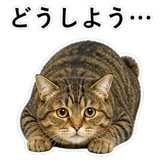 852718799