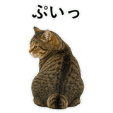 852718800